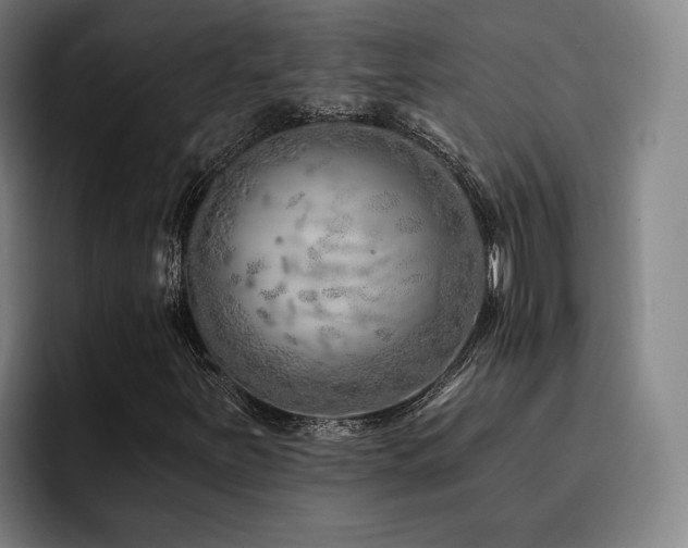 X0000093471251200710121418