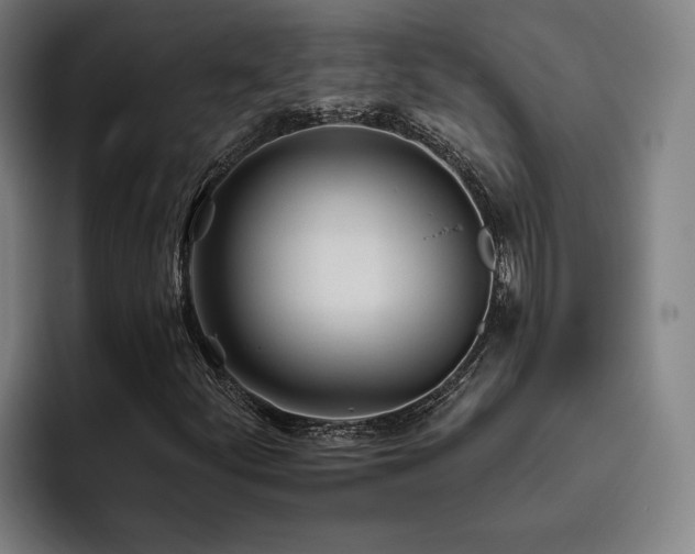 X0000093471252200710121418