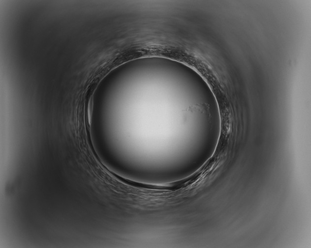 X0000093471253200710121418