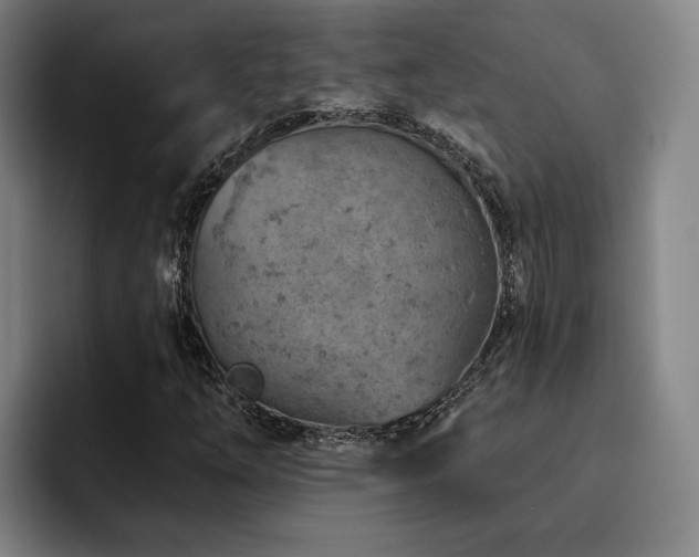 X0000093471254200710121418