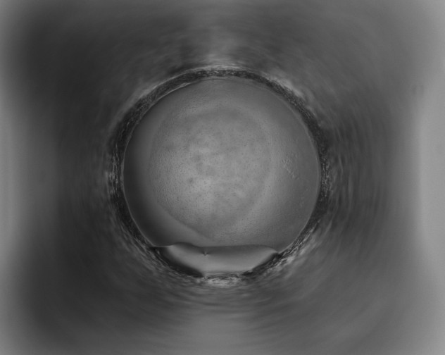 X0000093471255200710121418