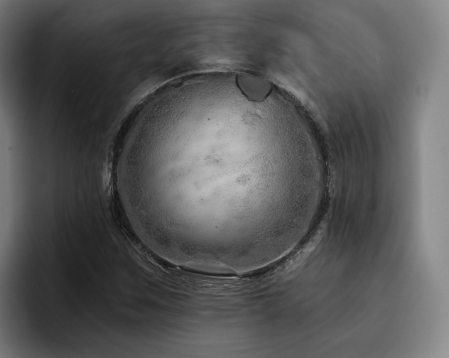 X0000093471259200710121418