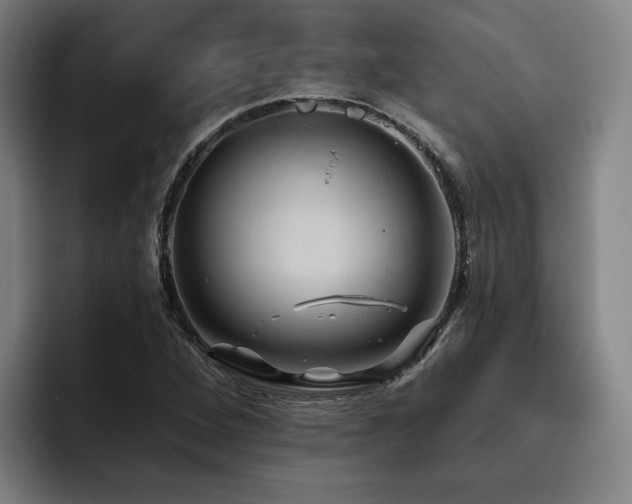 X0000093471264200710121418