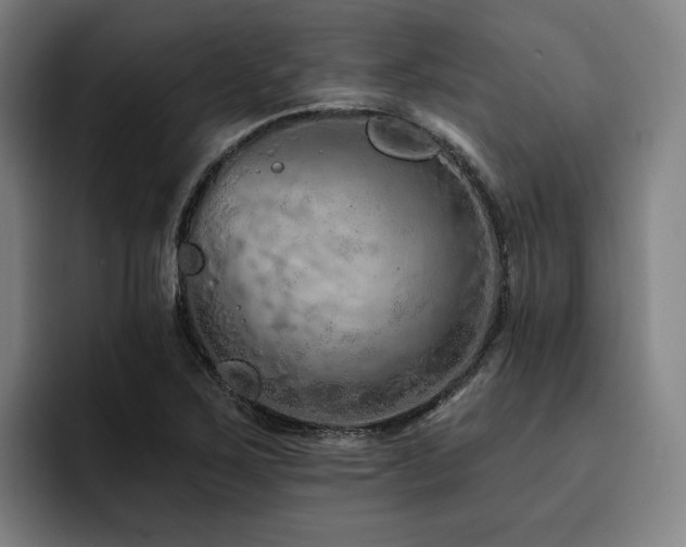 X0000093471267200710121418
