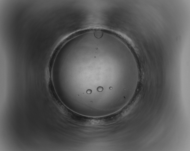 X0000093471271200710121418