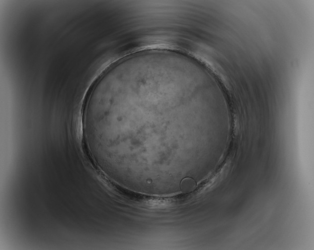 X0000093471274200710121418