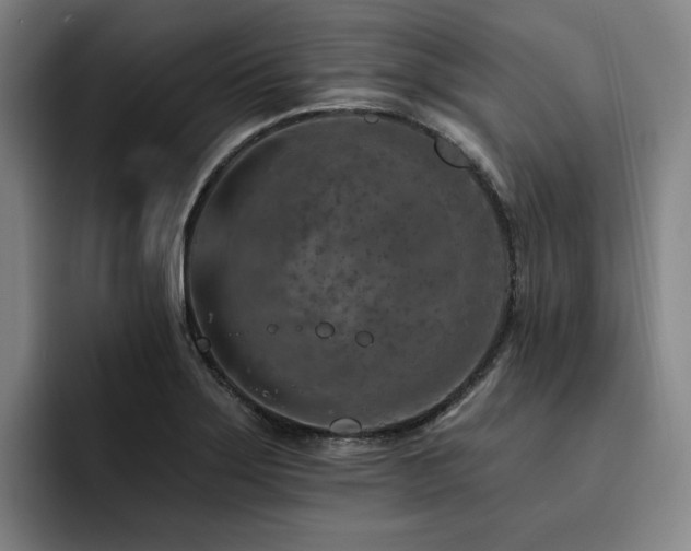 X0000093471275200710121418