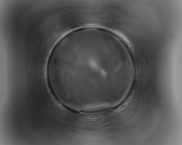 X0000093471279200710121418