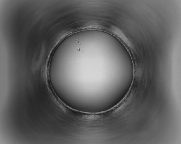 X0000093471282200710121418