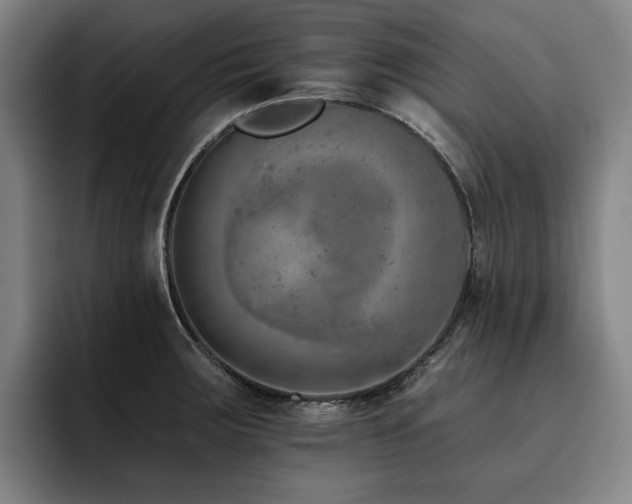 X0000093471283200710121418