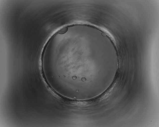 X0000093471287200710121418