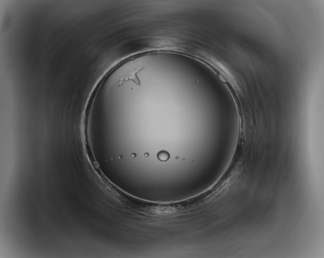 X0000093471291200710121418