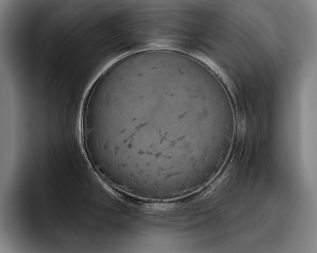 X0000093471294200710121418