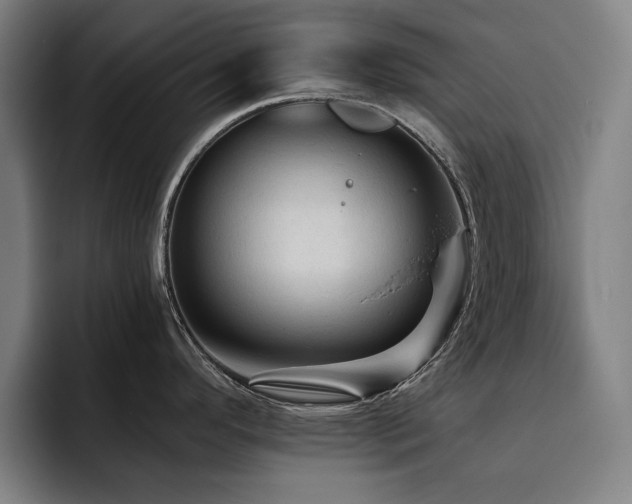 X0000093471296200710121418