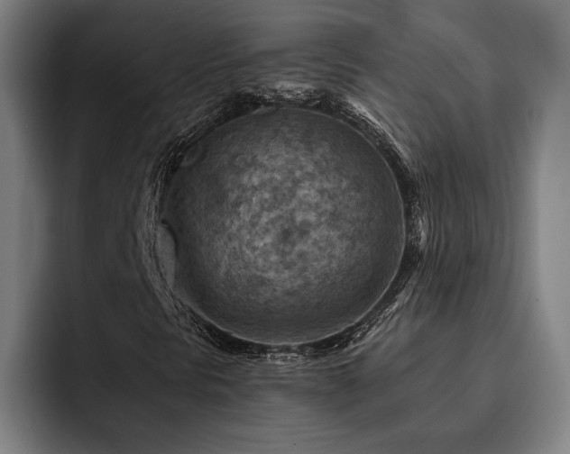 X0000093471297200710121417