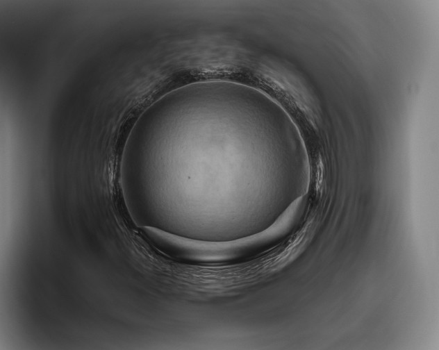 X0000093471300200710121417