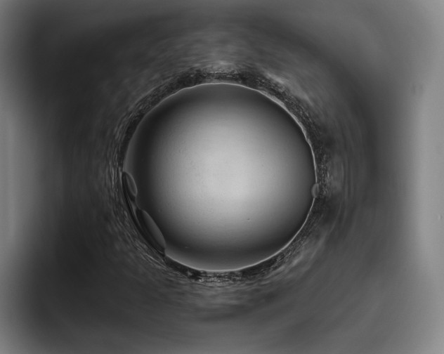 X0000093471301200710121417