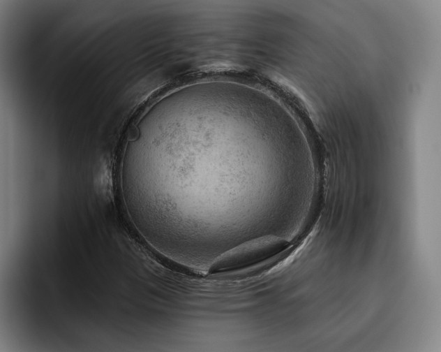 X0000093471305200710121417