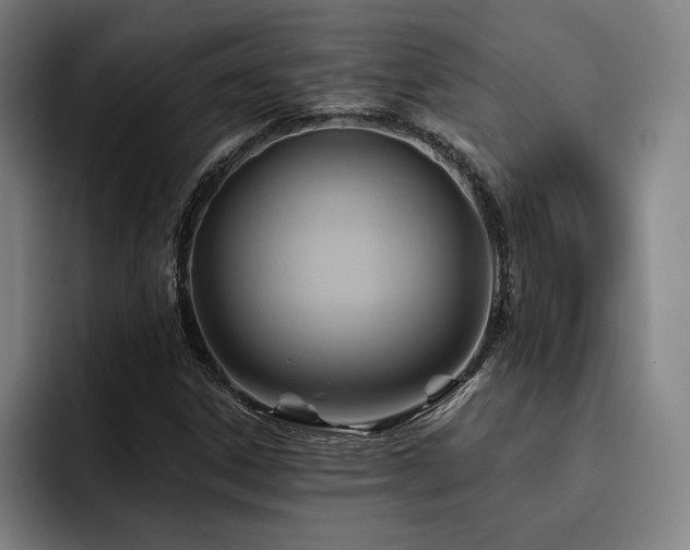 X0000093471306200710121417