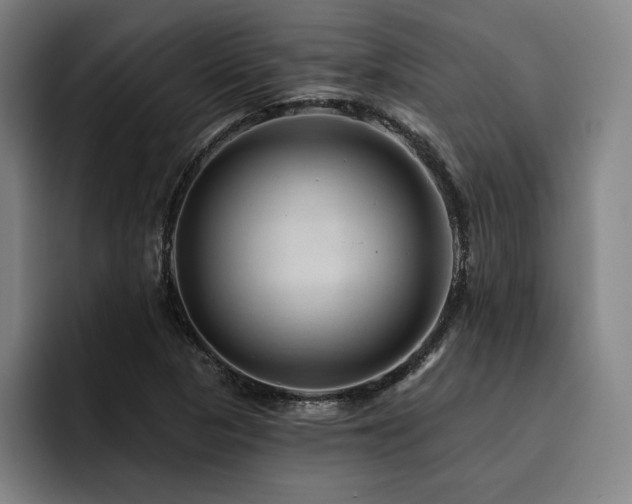X0000093471313200710121417