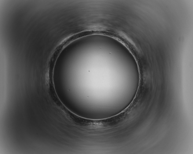 X0000093471315200710121417