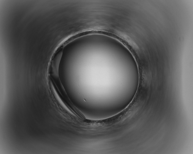 X0000093471316200710121417