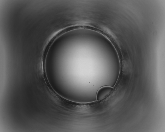 X0000093471320200710121417
