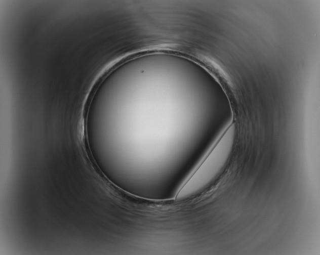 X0000093471324200710121418