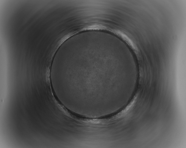 X0000093471329200710121418