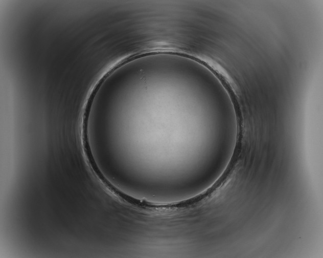 X0000093471333200710121418