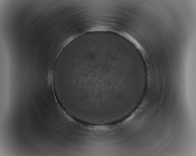 X0000093471337200710121418