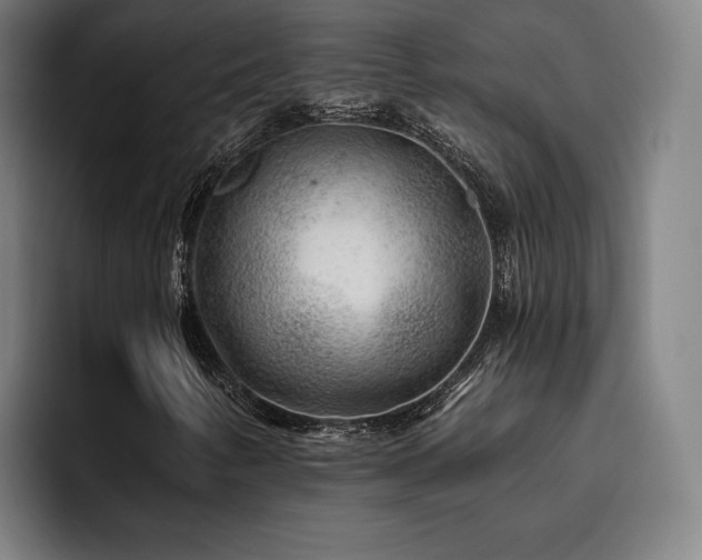 X0000093471346200710121417