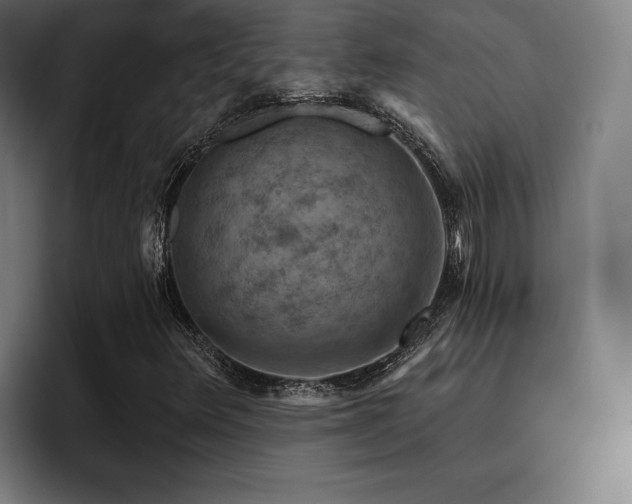 X0000093471348200710121417