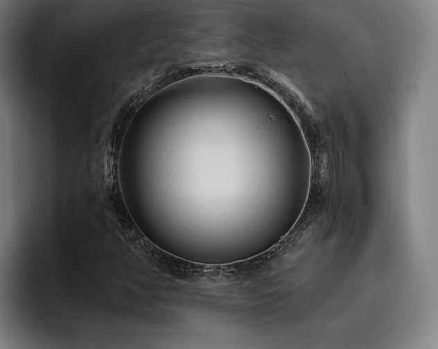 X0000093471350200710121417