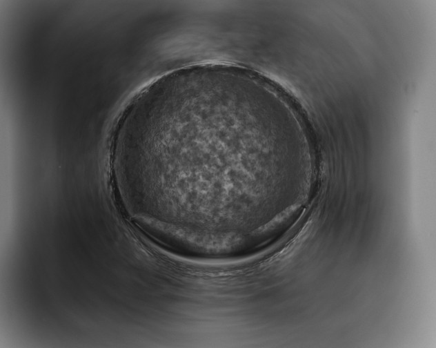 X0000093471359200710121417