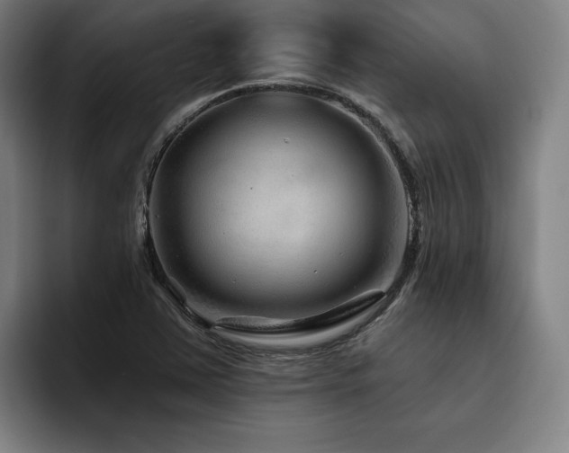 X0000093471363200710121417