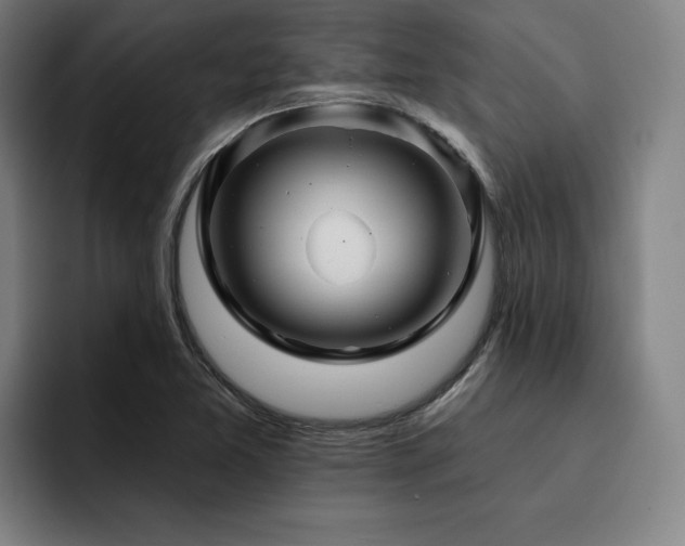 X0000093471365200710121417