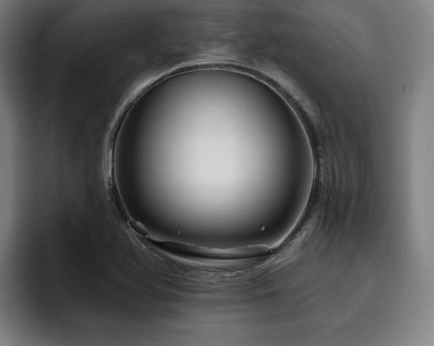 X0000093471366200710121417