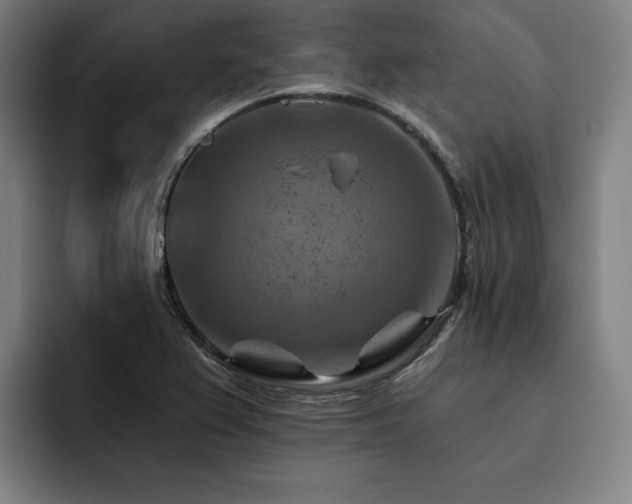 X0000093471367200710121417