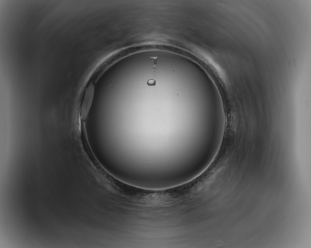 X0000093471368200710121417