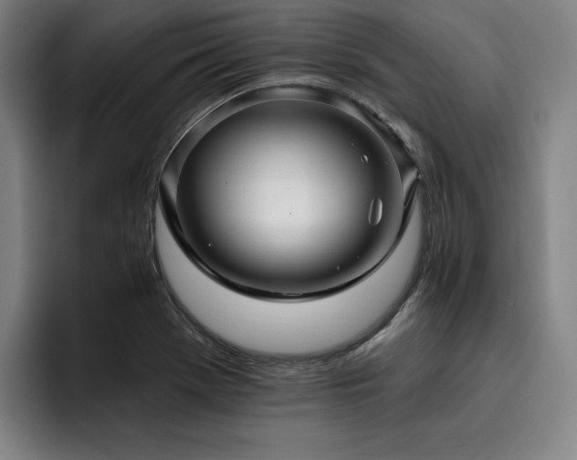 X0000093471369200710121417
