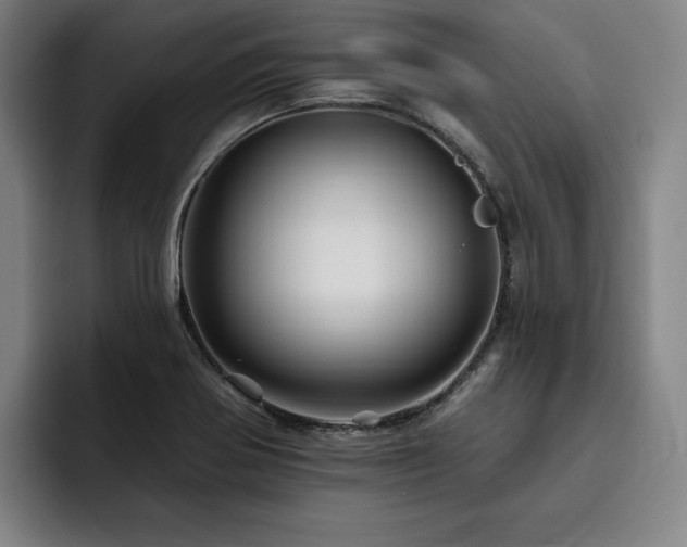 X0000093471370200710121417