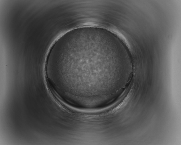 X0000093471373200710121417