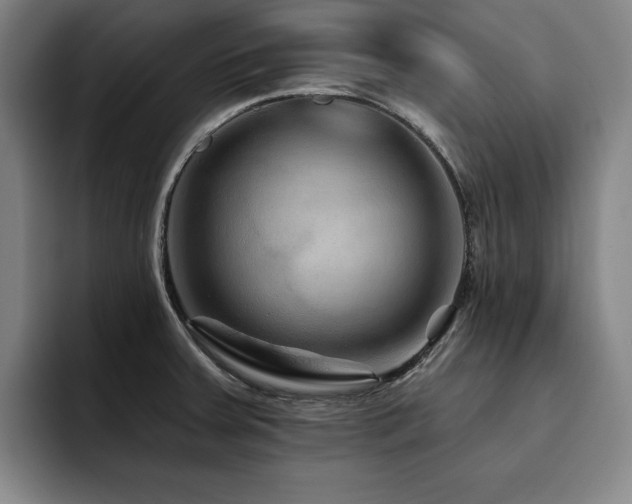 X0000093471379200710121417