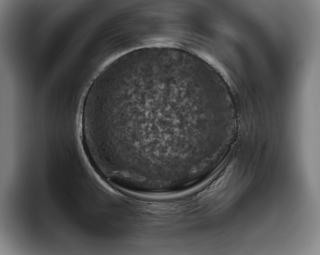 X0000093471383200710121417