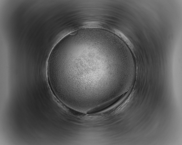 X0000093471386200710121417