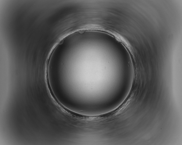 X0000093471390200710121417
