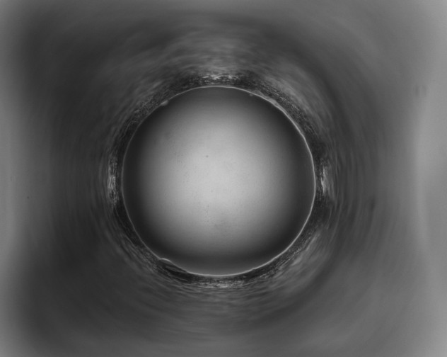 X0000093471396200710121416