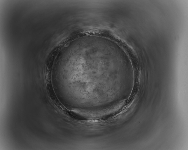 X0000093471399200710121416