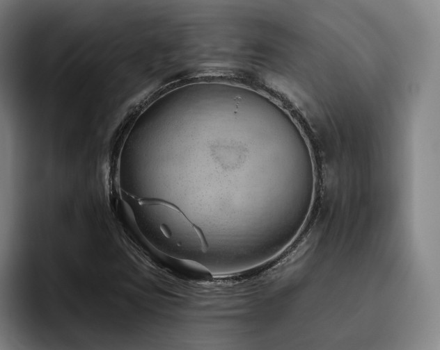 X0000093471403200710121416